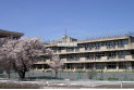 【中学校】金子中学校　約1,350m