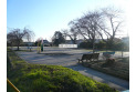 【公園】金子駅前公園　約950m