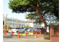 【小学校】藤沢小学校　約850m