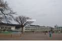 【小学校】金子小学校　約1,300m