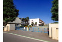 【小学校】南小学校　約450m