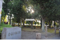 【公園】ならの木公園　約230m