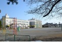 【小学校】藤沢小学校　約160m