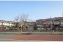 【幼稚園・保育園】白梅幼稚園　約700m