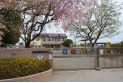 【幼稚園・保育園】所沢第六文化幼稚園　約750m