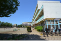【小学校】上新井小学校　約300m