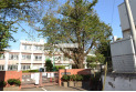 【小学校】富士見小学校　約230m