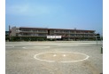 【小学校】扇小学校　約250m