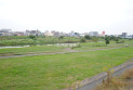 【公園】柏原河川敷公園　約180m