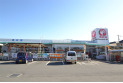 【ホームセンター】コメリハード＆グリーン豊田店　約290m