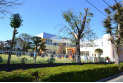 【幼稚園・保育園】川鶴ひばり幼稚園　約300m