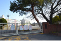 【小学校】藤沢小学校　約737m