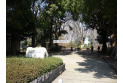 【公園】富士見公園　約1,200m