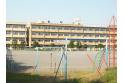 【小学校】東町小学校　約800m
