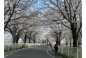 【公園】入曽多目的広場内公園　約550m