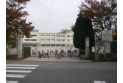 【小学校】大東西小学校　約300m