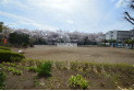 【公園】南台ふじみ公園　約130m