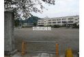 【中学校】飯能第一小学校　約500m