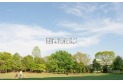 【公園】新光中央公園　約570m