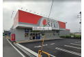【ドラッグストア】ドラッグストアセキ双柳店　約1,000m