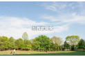 【公園】新光中央公園　約600m