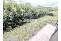 【その他】庭スペース。