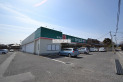 【ドラッグストア】ドラッグセイムス金子店　約450m