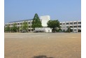 【小学校】鳩山小学校　約300m