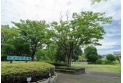 【公園】ジャンボ公園　約500m