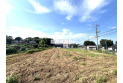 【外観】現地全景