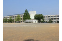 【小学校】鳩山小学校　約250m
