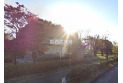 【公園】入西公園　約1,010m