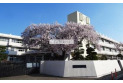 【小学校】泉野小学校　約1,880m