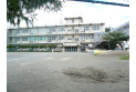 【小学校】泉小学校　約250m