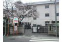 【小学校】中山小学校　約750m
