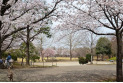 【公園】御伊勢塚公園　約500m