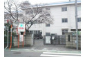 【小学校】川島町立中山小学校　約540m