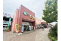 【ドラッグストア】スギ薬局川越南古谷店　約1,197m