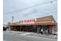 【スーパー】TAIRAYA月吉店　約730m