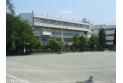 【小学校】大塚小学校　約550m