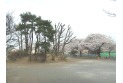 【公園】的場たぬき山公園　約800m