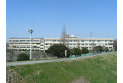 【小学校】上戸小学校　約1,300m