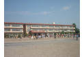 【小学校】扇小学校　約491m