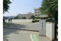 【小学校】川越市立武蔵野小学校　約1,600m