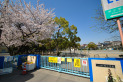 【小学校】栄小学校　約400m