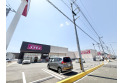 【ドラッグストア】ドラッグストアコスモス新河岸店　約270m
