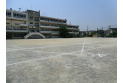 【小学校】新宿小学校　約590m