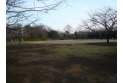 【公園】御伊勢塚公園　約1,536m