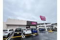 【ドラッグストア】ドラッグストアコスモス川越野田店　約270m