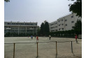 【小学校】大塚小学校　約240m